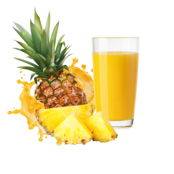 Suco de Abacaxi 500ml